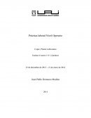 Informe práctica operario.