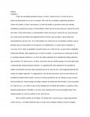 MARX capitulos I-IV