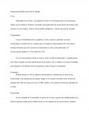 Organización Política de la Nueva España.