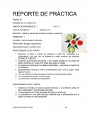 REPORTE DE PRÁCTICA Tallado y decoración artística de frutas y verduras