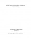 ASESORES JURIDICOS OPERACIONALES EN EL DESARROLLO DE OPERACIONES MILITARES