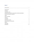 Crédito de habilitación o Avío.