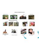 CADENA DE SUMINISTRO DEL CAFE.