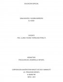 PSICOLOGÍA DEL DESARROLLO INFANTIL. EDUCACIÓN ESPECIAL
