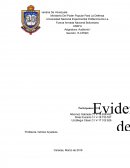 Evidencia de Auditoria.