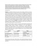 Proyecto forti pasta.