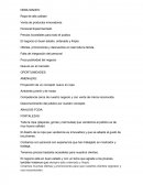 Tarea Ropa de alta calidad