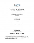 TEJIDO MUSCULAR.
