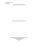 TABLA ANALÍTICA PORQUE SEVIR