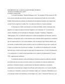 DESCRIPCION DE LA ESCUELA SECUNDARIA FEDERAL