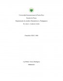 Programa de Escuela Abierta.