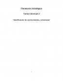 Oportunidades y amenazas.