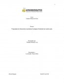 Propuestas de Soluciones al problema Ecológico-Ambiental de nuestro país.