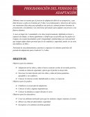 Partiendo de este planteamiento, pasemos a organizar los mínimos generales del periodo de adaptación para el aula de 2 a 3 años.