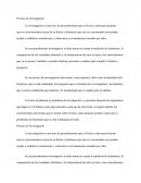 El Proceso de Investigación.
