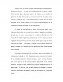 Ensayo sobre la OMS.