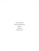 Comente y fundamente las distintas razones que existen para que los países participen en el comercio internacional.