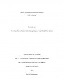 Plan De Mejoramiento, plataforma estratégica “Café La Gaviota”