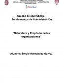 Trabajo: “Naturaleza y Propósito de las organizaciones”