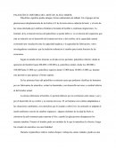 PALEOLÍTICO. HISTORIA DEL ARTE DE ALICIA HABER.