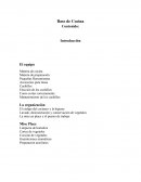 Lavado, desinsectación y conservación de vegetales