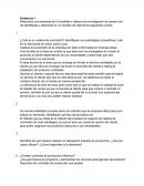 Cuál es su cadena de suministro?