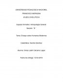 Es el espacio relacionado con los neandertales tanto en Europa como en el oriente, en esta época se descubrieron las herramientas que utilizaban, sus campamentos o lugares donde vivían y también la obtención de alimentos, los ritos funerarios no podí
