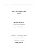 ESCENARIO 1: COMPRENSIÓN INSTITUCIONAL DEL ENTORNO AMBIENTAL