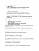 Informe sobre los colorantes.