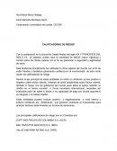 Calificadoras de riesgo.