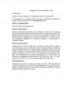 Consecuencias y Recomendaciones: Factor de riesgo químico