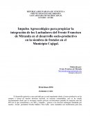 El desarrollo agrícola es una actividad que se está impulsando desde el sector productivo en los campos o tierras