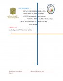 Práctica no. 5 Estudio Experimental de Reacciones Químicas