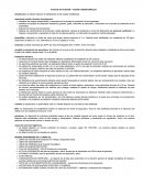 Plan de actuación – Casas consistoriales