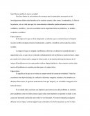 Saint Simon analiza la nueva sociedad