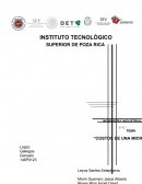 ENTREVISTA AL PROPIETARIO DE LA EMPRESA MINI LEO´S