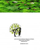La Asociación de Productores de Material Vegetal de Colombia – ASPROMACOL,
