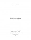 LAS OPERACIONES EN EL PRIMER CICLO. GESTION EMPRESARIAL – 810624