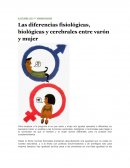 Las diferencias fisiológicas, biológicas y cerebrales entre varón y mujer