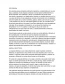 Animales acuaticos raros