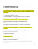 Examen. Técnicas de dirección y liderazgo Organizacional