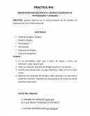 OBSERVACION MICROSCOPICA DE LÁMINAS COLOREADAS DE TRYPANOSOMA Y LEISMANIA.