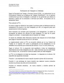 Descripción de P.T.U. en México