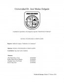 Facultad de Agricultura e Investigación Agrícola “Julia Hill de O´Sullivan”