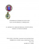 .EL AMPARO EN EL DERECHO PROCESAL CONSTITUCIONAL