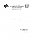 Estudio de anomalias magnetica en la universidad central de venezuela