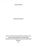 PROGRAMA TECNICO PROFESIONAL EN PRODUCCION AGROPECUARIA