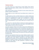 Las colisiones cósmicas