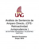 Análisis de Sentencia de Amparo Directo, (CFE-Retroactividad Jurisprudencia )
