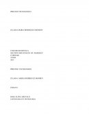 FASES DEL PROCESO TECNOLOGICO